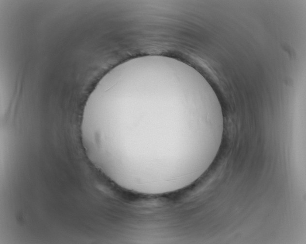 X0000115560307200911061153