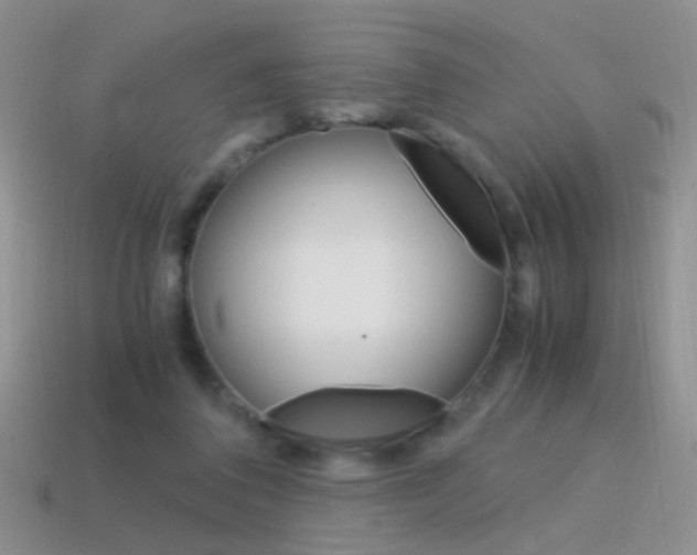 X0000115560308200911061153