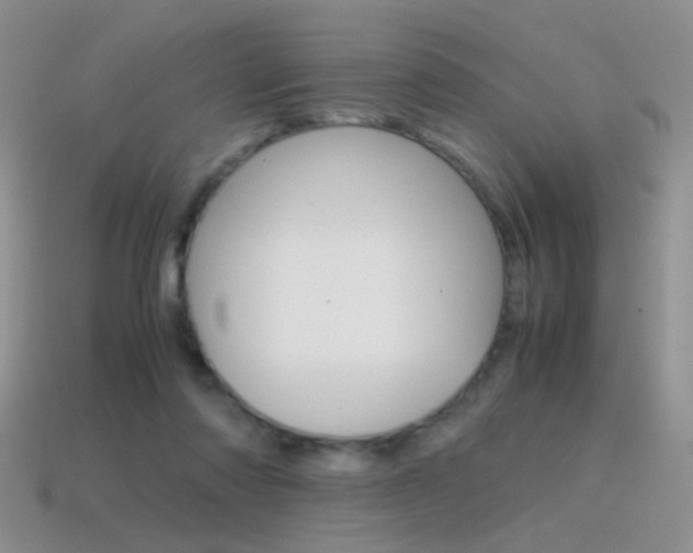 X0000115560310200911061153