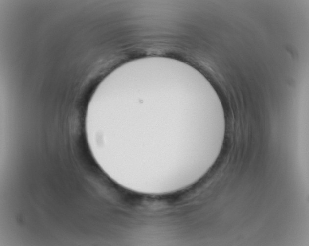 X0000115560311200911061153