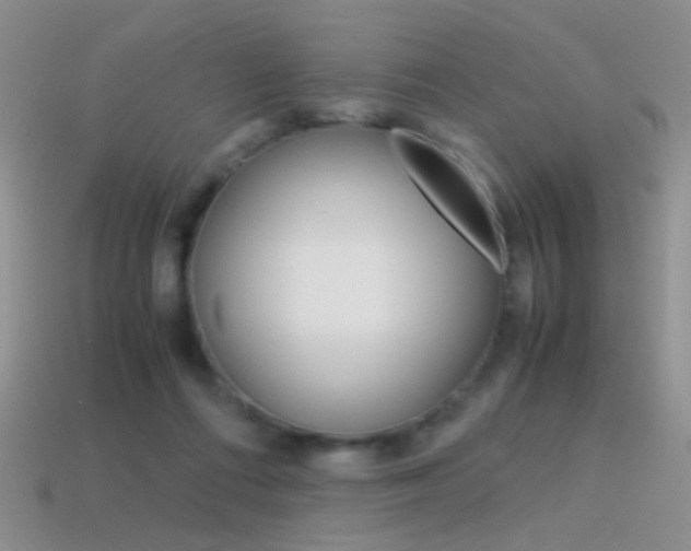 X0000115560312200911061153