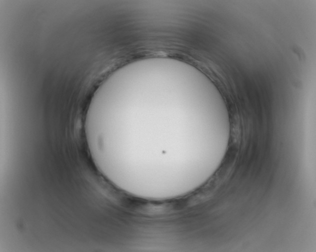 X0000115560314200911061153