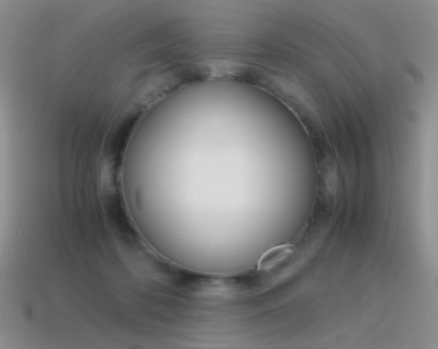 X0000115560316200911061153