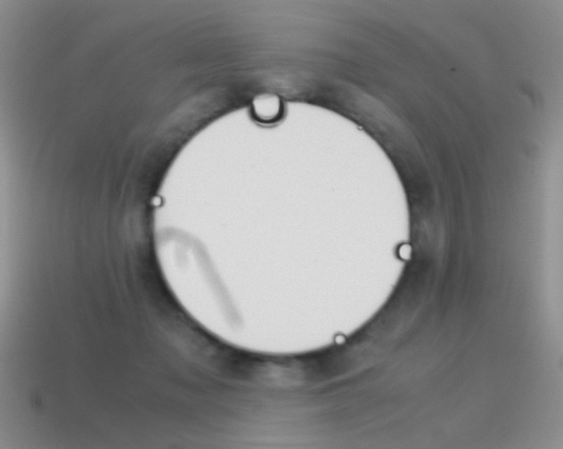 X0000115560317200911061153