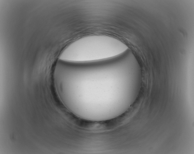 X0000115560319200911061153