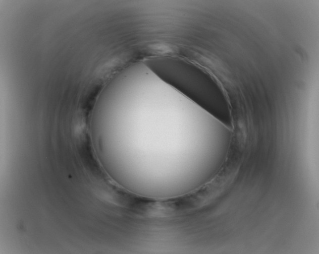 X0000115560320200911061153