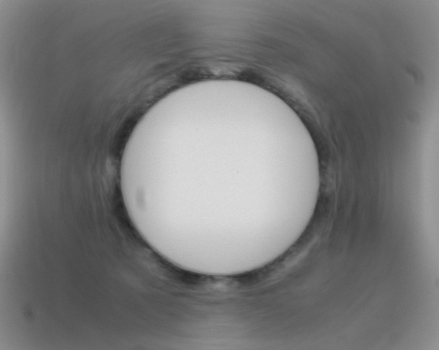 X0000115560321200911061153