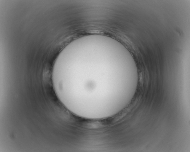 X0000115560322200911061153