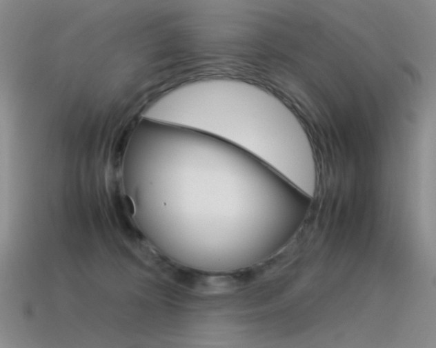 X0000115560324200911061153