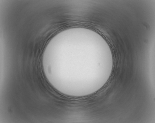 X0000115560325200911061153