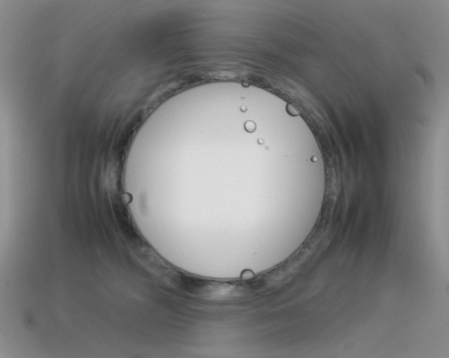 X0000115560326200911061153