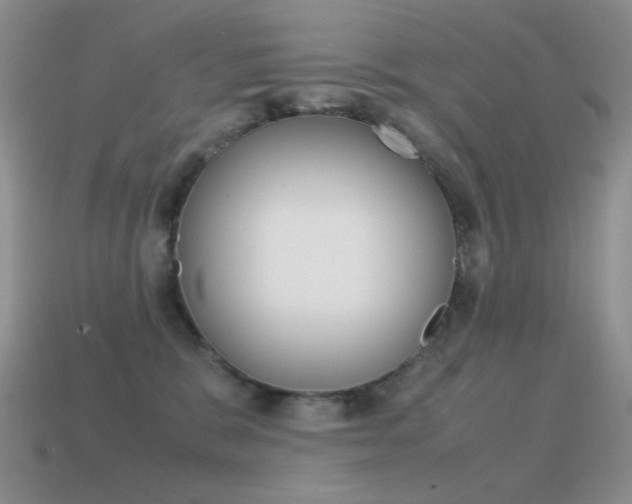 X0000115560327200911061153