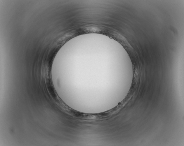 X0000115560330200911061153