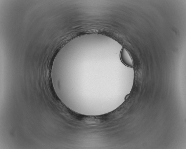 X0000115560331200911061153