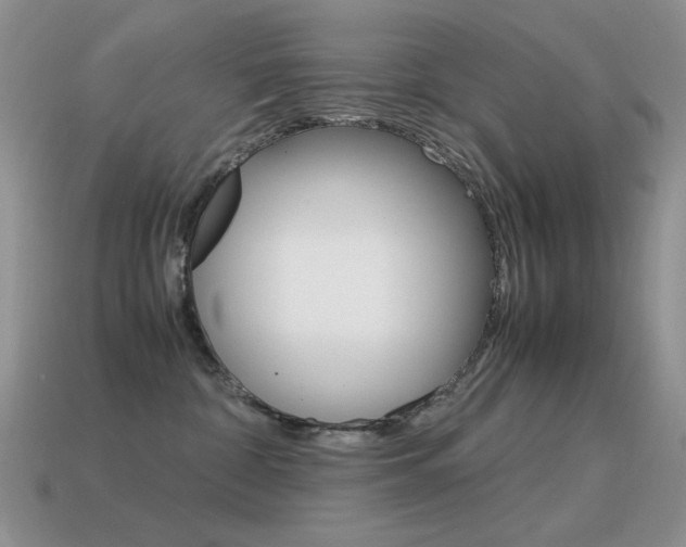 X0000115560332200911061153