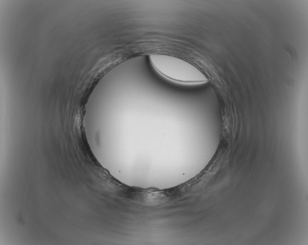 X0000115560333200911061153