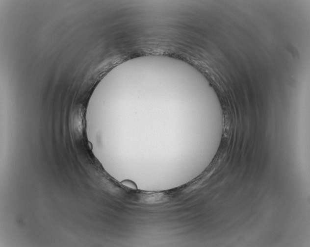 X0000115560334200911061153