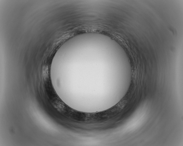 X0000115560335200911061153
