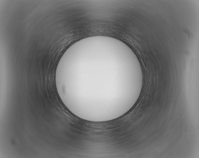 X0000115560336200911061153