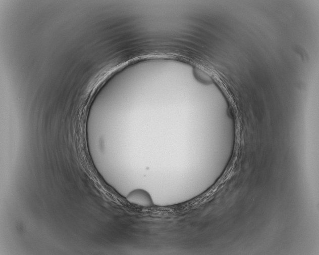 X0000115560337200911061152