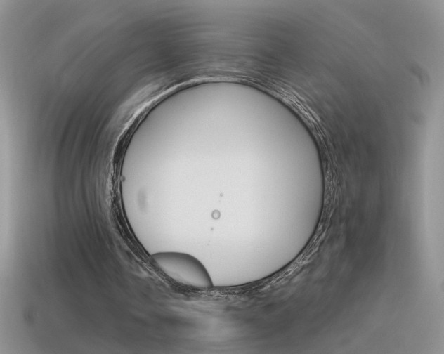 X0000115560338200911061152