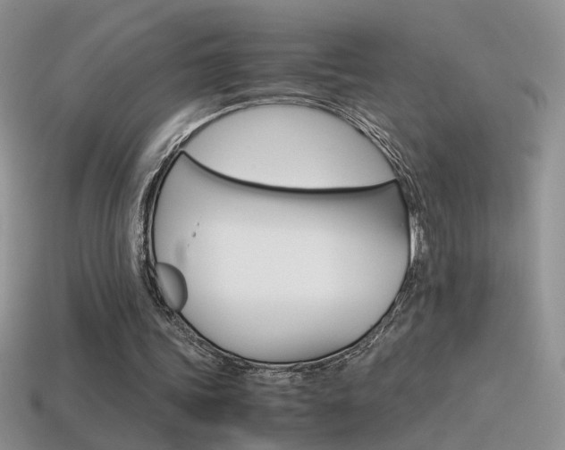 X0000115560339200911061152