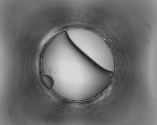 X0000115560341200911061152