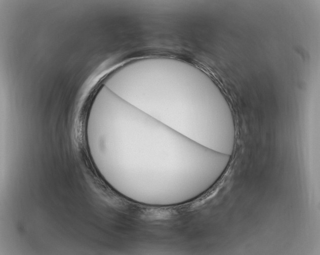 X0000115560343200911061152