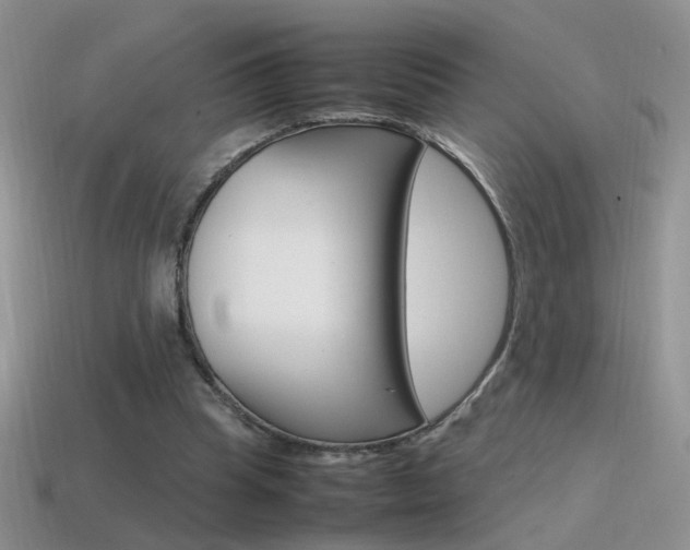 X0000115560345200911061152