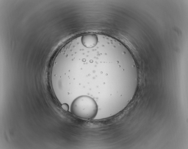 X0000115560346200911061152