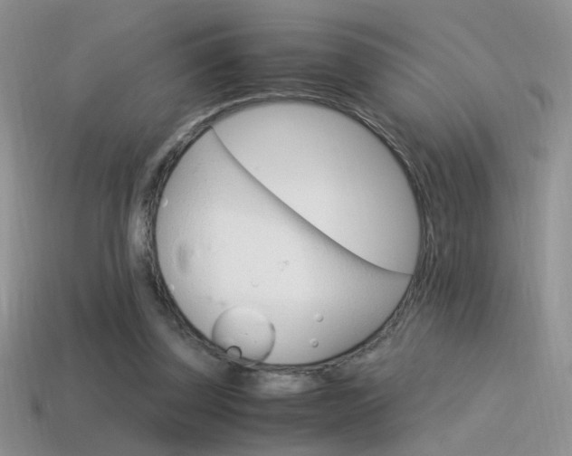 X0000115560347200911061152
