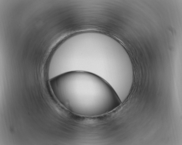 X0000115560350200911061152