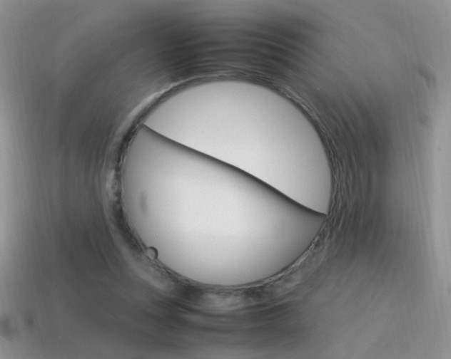 X0000115560351200911061152