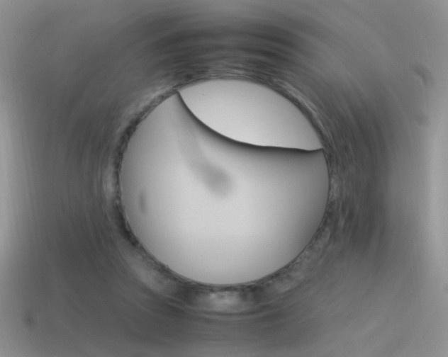 X0000115560353200911061152