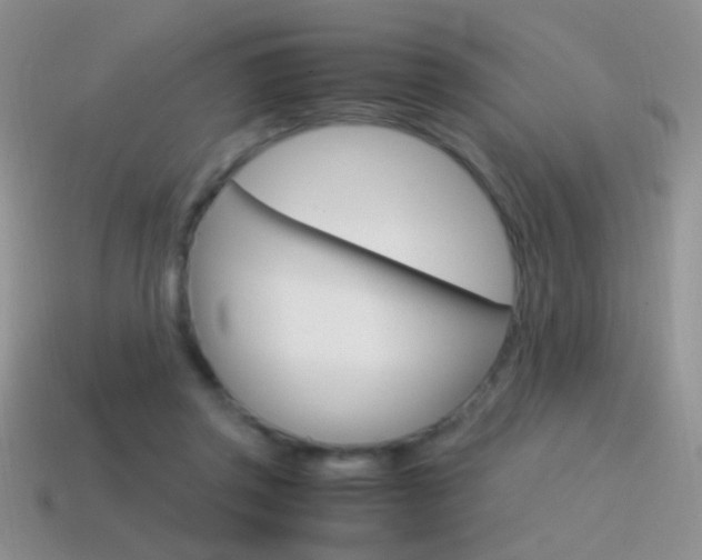 X0000115560357200911061152
