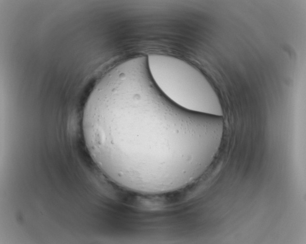 X0000115560359200911061152