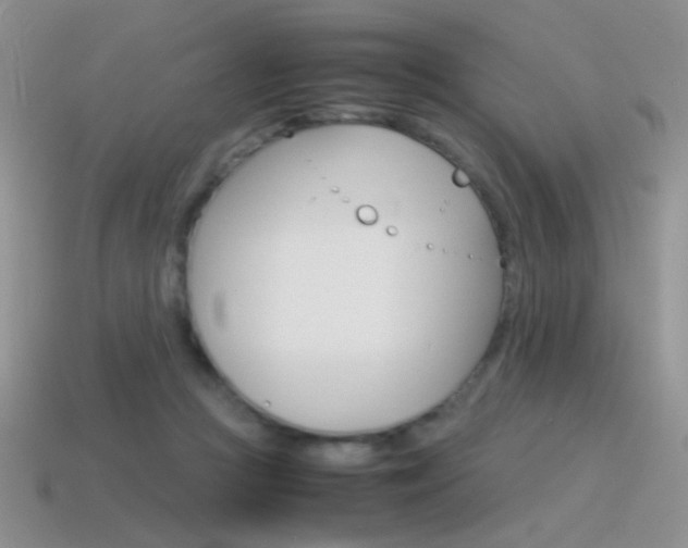 X0000115560361200911061152