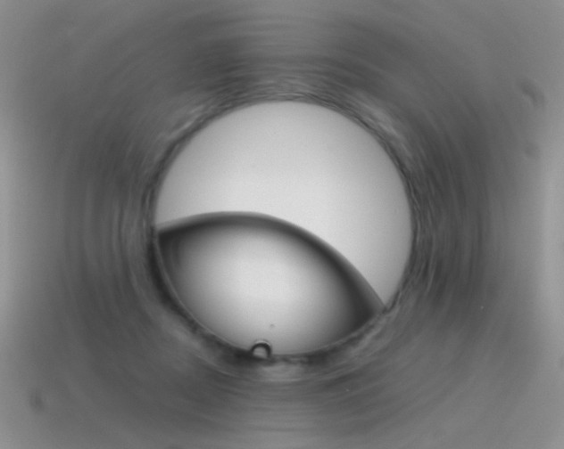 X0000115560362200911061152