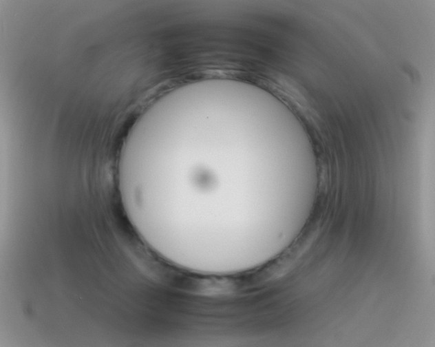 X0000115560363200911061152