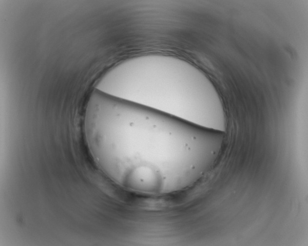 X0000115560366200911061152