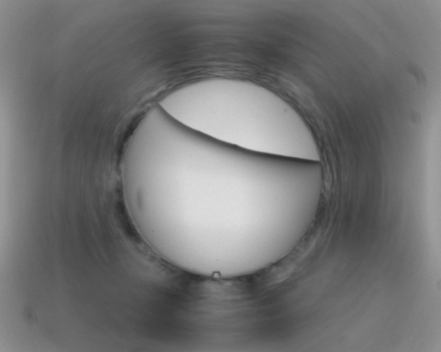 X0000115560367200911061152