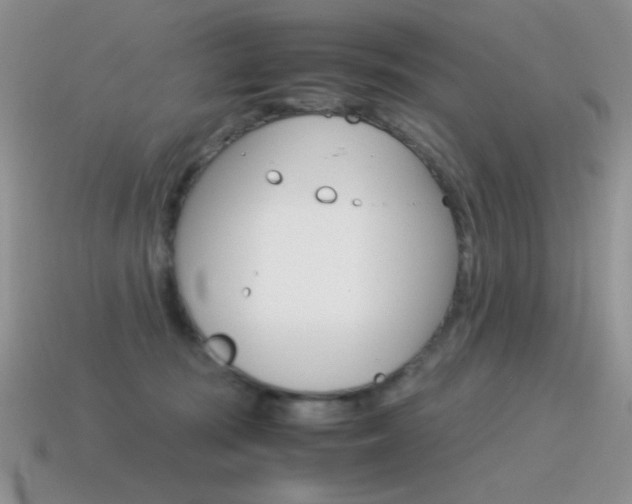 X0000115560371200911061153