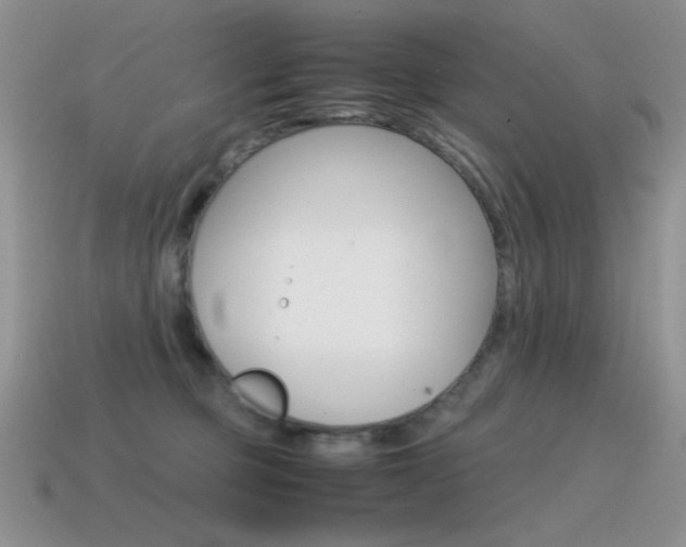 X0000115560373200911061153