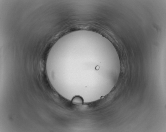 X0000115560374200911061153