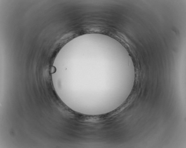 X0000115560377200911061153