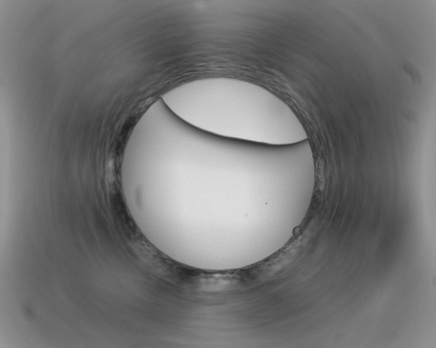 X0000115560378200911061153