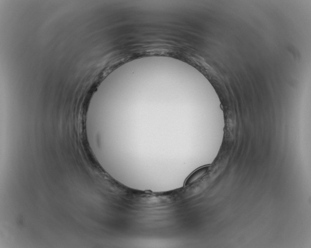 X0000115560379200911061153