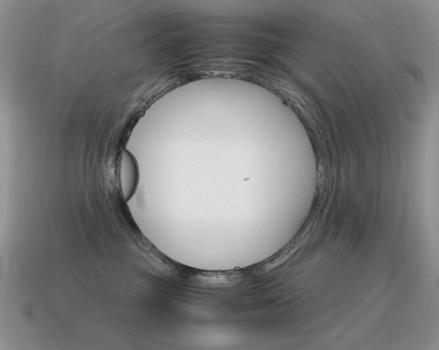 X0000115560381200911061153