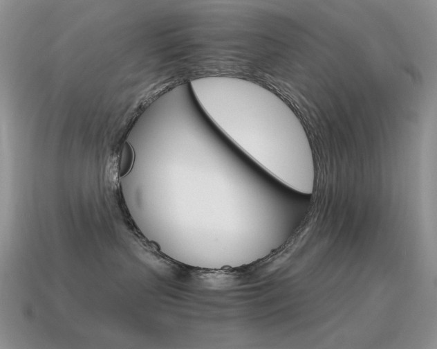 X0000115560383200911061153