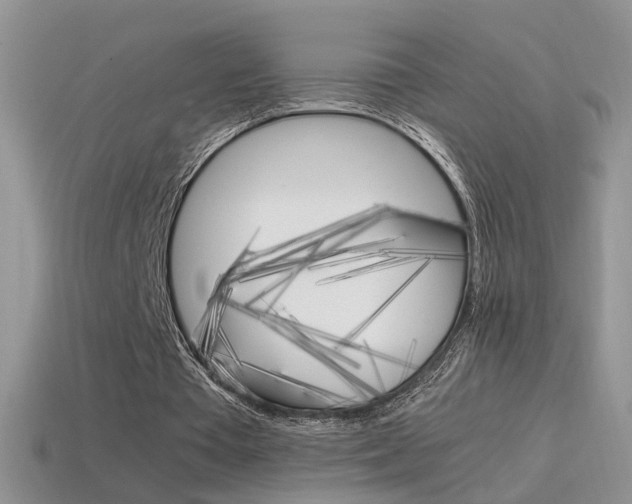 X0000115560385200911061152